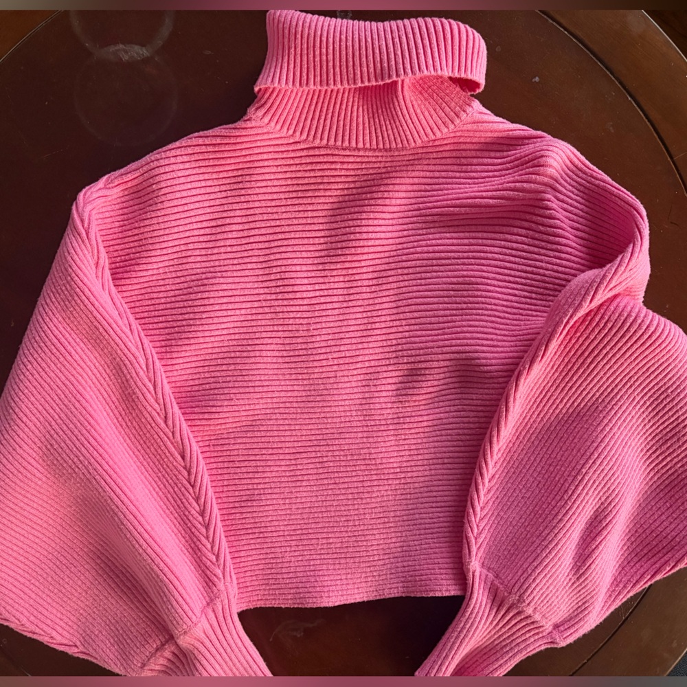 Pink Zara Sweater, size small